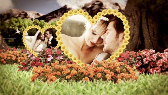 婚礼花园草地上的心形花朵相册AE视频模板插图
