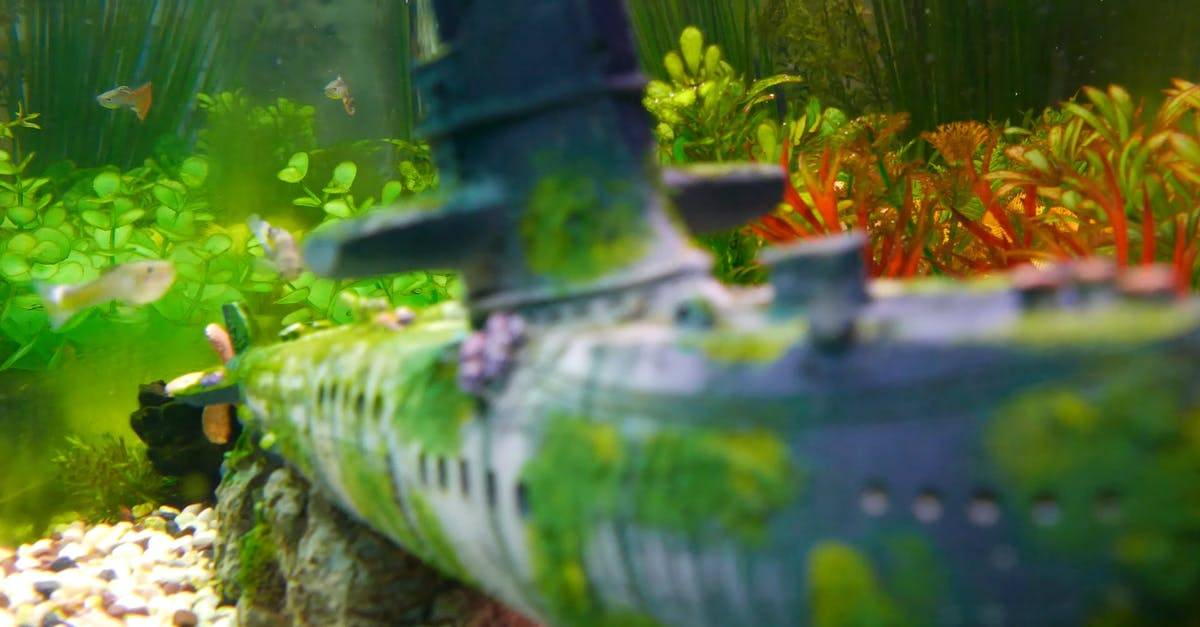 水下的玩具潜水艇特写高清CC0视频素材