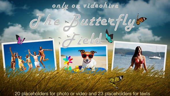 照片幻灯片-蝴蝶和草地照片展示AE视频模板插图