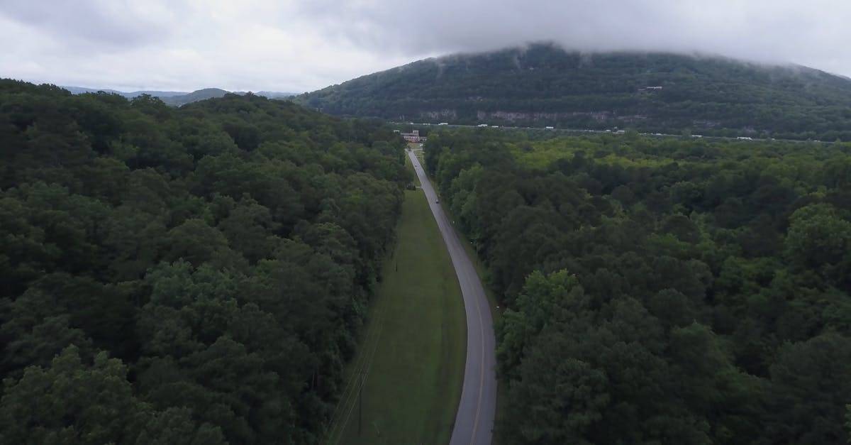树木之间的道路4K高清航拍CC0视频素材插图