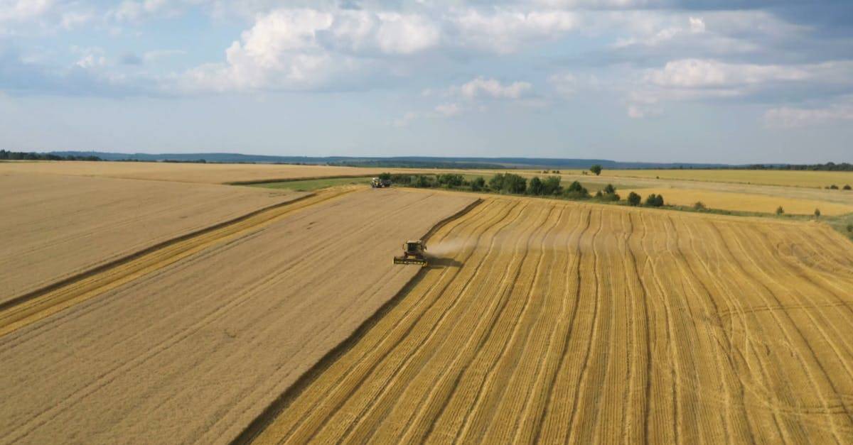 农田小麦收割林场航拍4K高清CC0视频素材