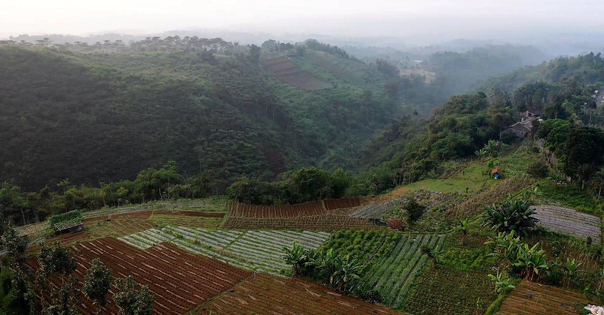 印尼晨雾笼罩下农田丘陵航拍4K高清CC0视频素材插图