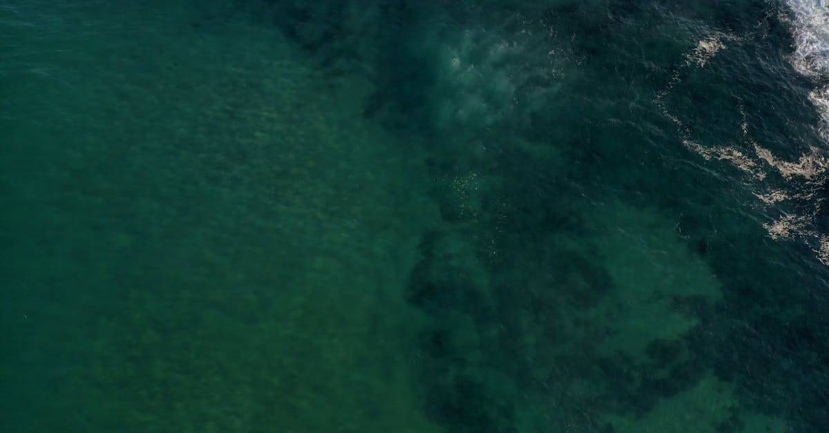 新南威尔士州海滩岸边景色航拍4K高清CC0视频素材插图