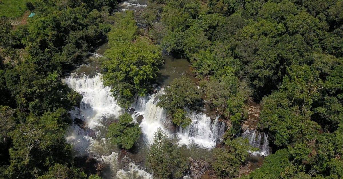 寮国森林树木水流航拍高清CC0视频素材插图
