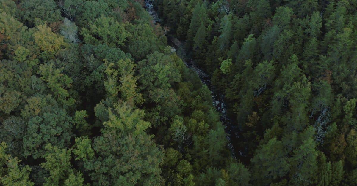 森林总的一条小河溪流4k航拍高清CC0视频素材插图