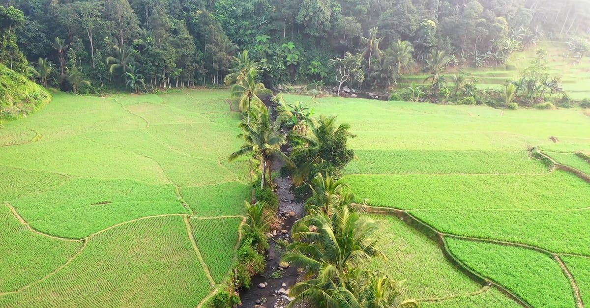 印度尼西亚的农田绿色航拍高清CC0视频素材插图