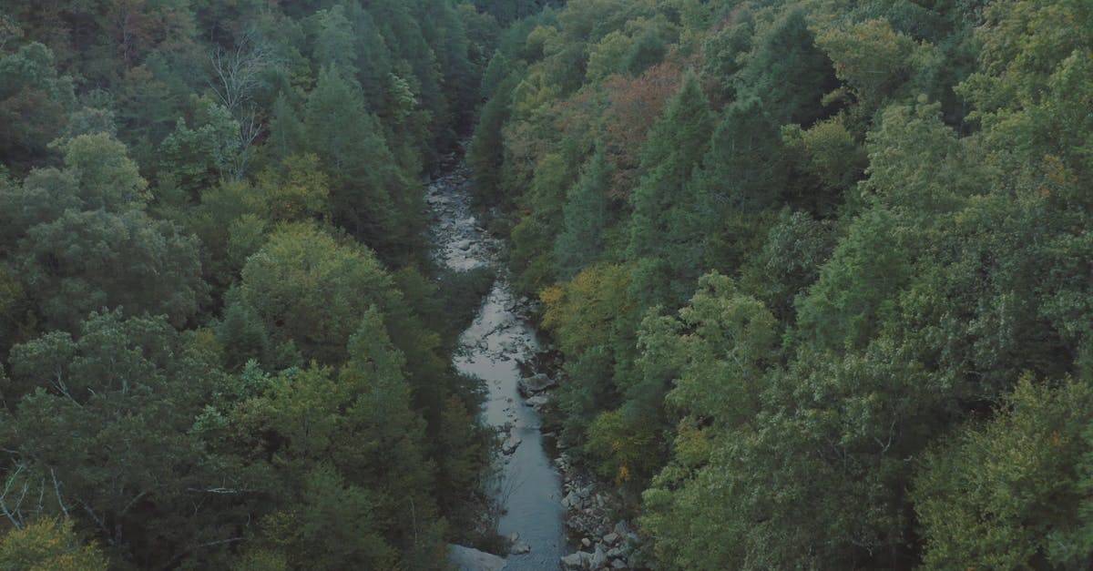 航拍绿色森林河流高清CC0视频素材插图