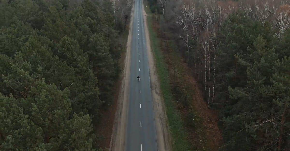 旅行在小径道路树木航拍高清CC0视频素材插图