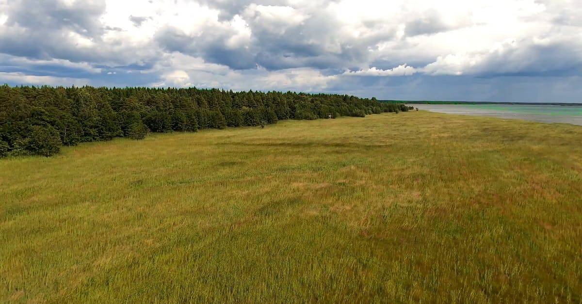 北岸棕色的草树海滨4K航拍高清CC0视频素材插图