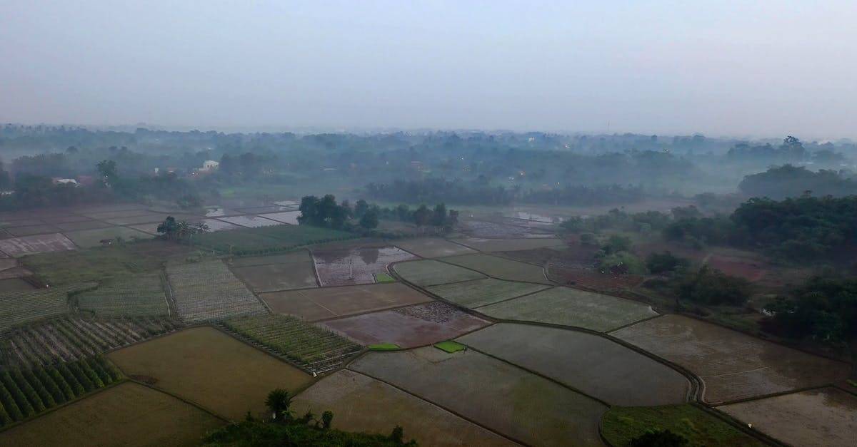 阴天的农田和雾气4k高清CC0视频素材插图