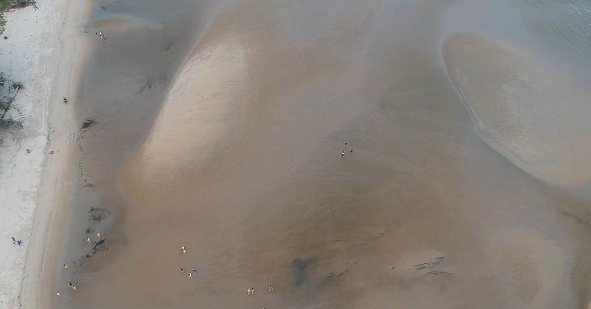 无人机画面的人在海边空中航拍CC0视频素材