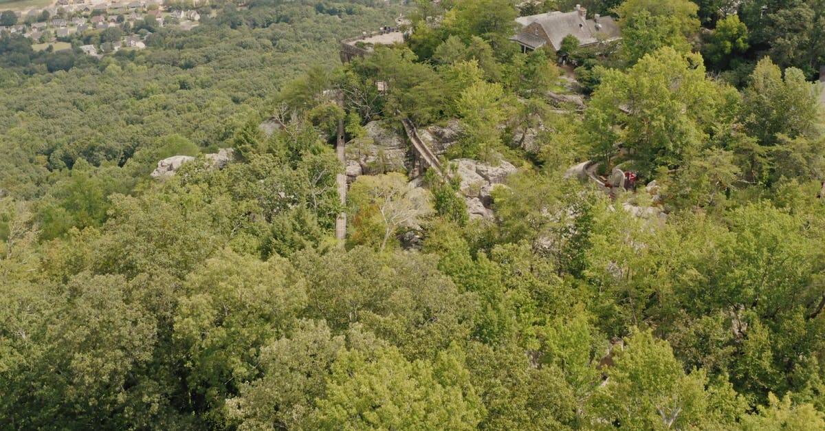 森林的建筑无人机航拍4k高清CC0视频素材