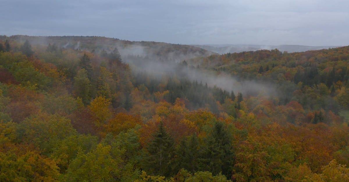 航拍云雾缭绕森林景观4k高清CC0视频素材插图