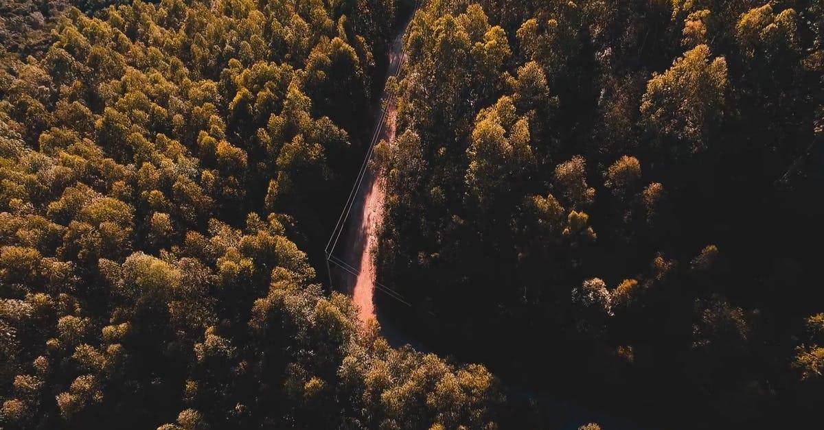 令人眼花缭乱森林公路航拍高清CC0视频素材