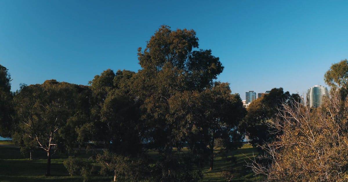澳大利亚城市公园森林航拍4k高清CC0视频素材插图
