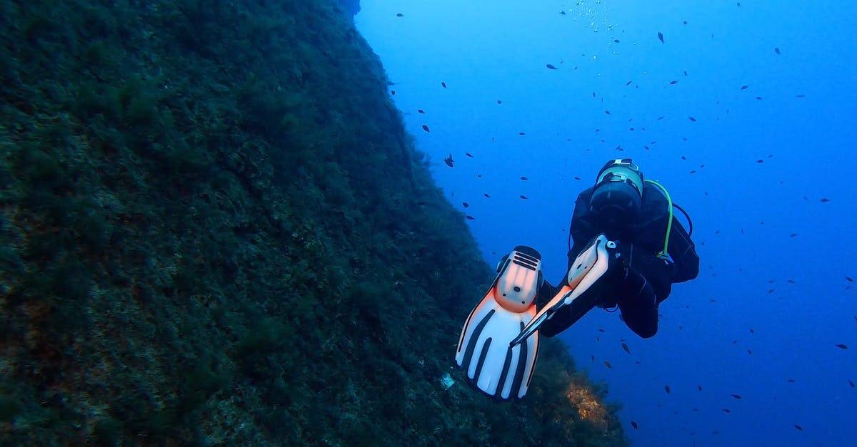 海洋下的潜水员背影4k高清CC0视频素材