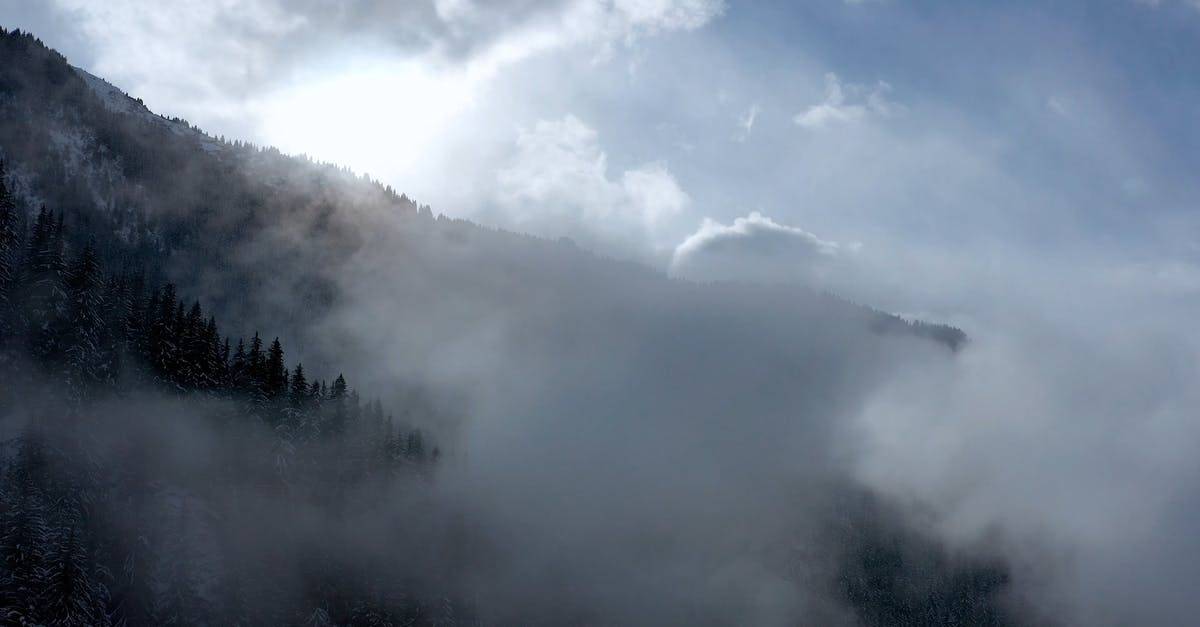 有薄雾的的山林航拍4k高清CC0视频素材插图
