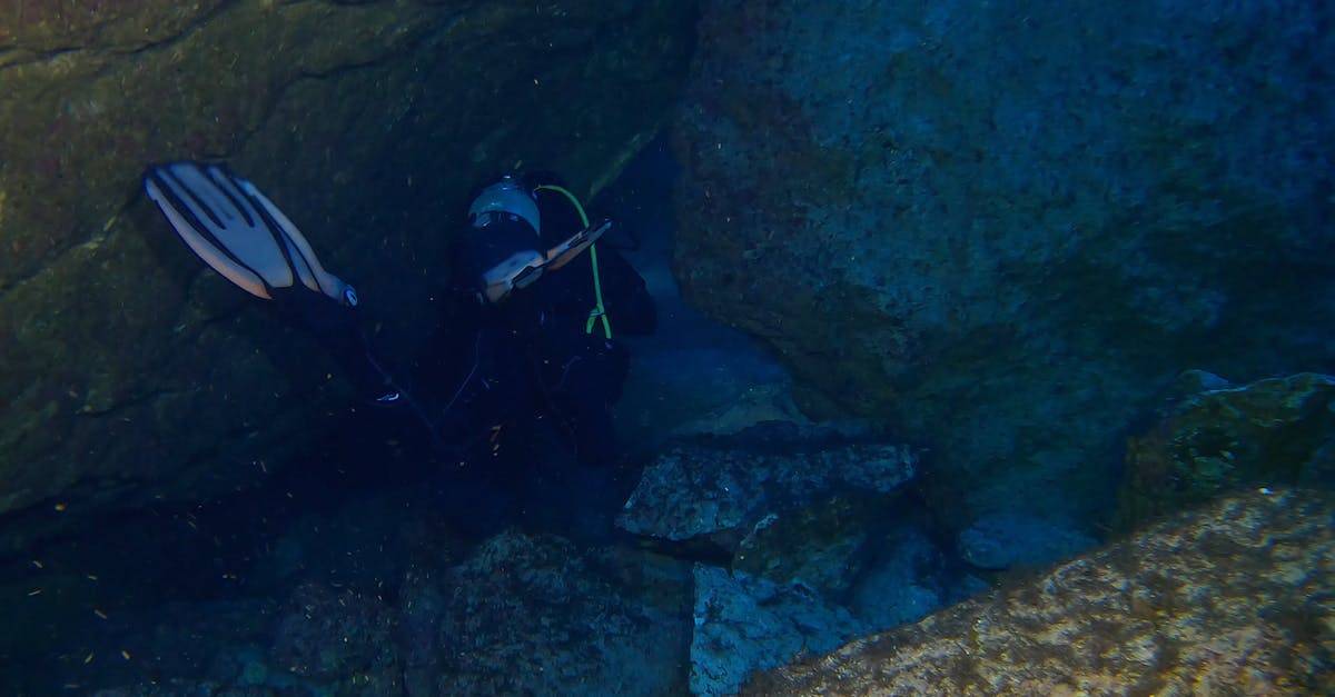带着氧气罐潜水海底摄影4k高清CC0视频素材