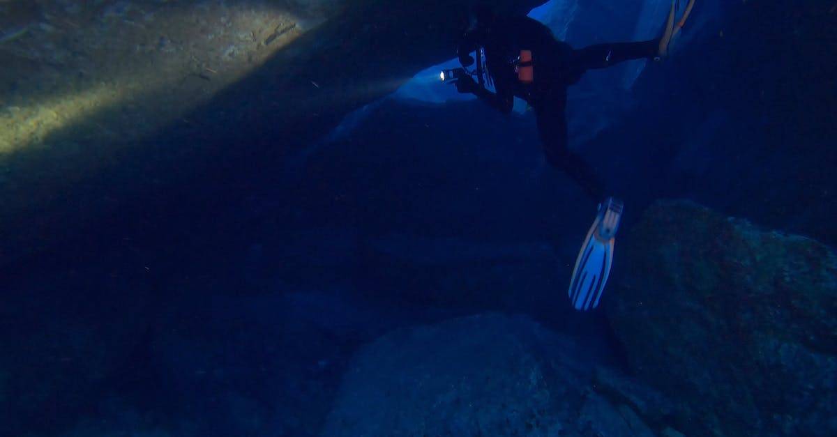 水下的世界潜水拍摄4k高清CC0视频素材