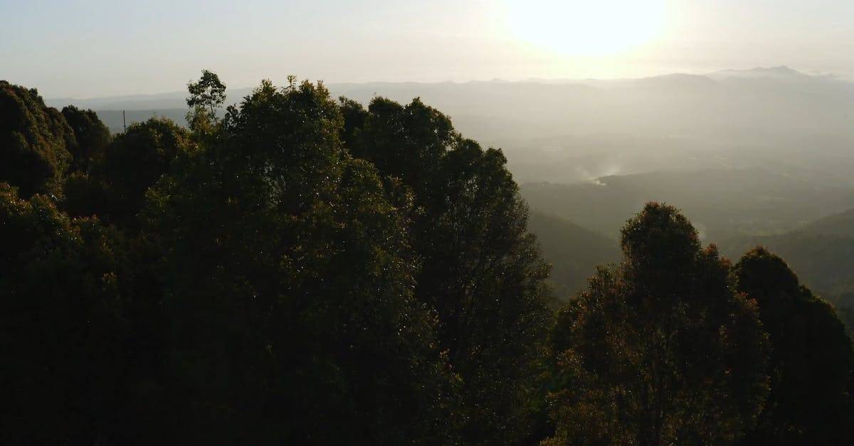 森林中有雾气的早晨山顶航拍高清CC0视频素材插图