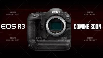 Canon EOS R3 感光元件“身世”受质疑？