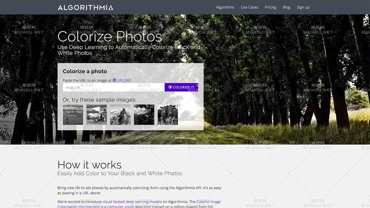 2021年5月热门的超实用神器推荐插图5