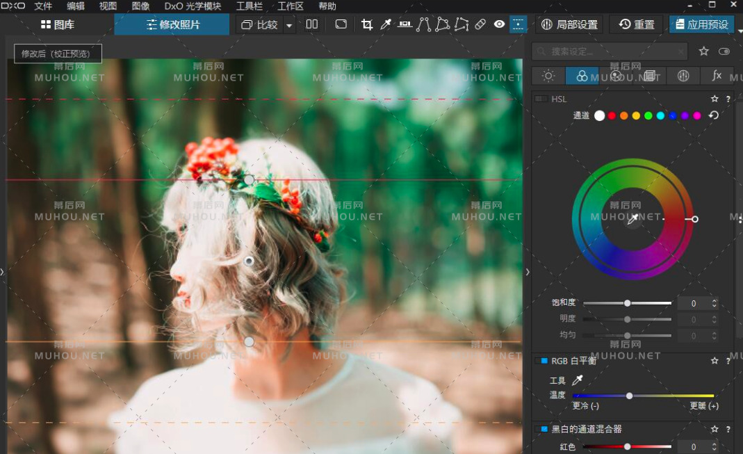 DxO PhotoLab4 v4.2.0.4522汉化版下载（WIN平台RAW/JPEG顶级照片后期软件）插图2