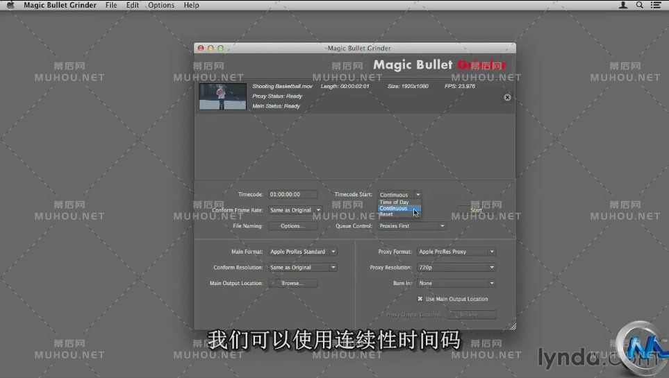 红巨星高端调色插件Magic Bullet Looks视频教程（中文字幕）（39P）插图1
