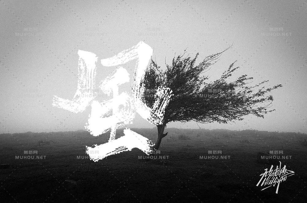 清风徐来！55款风艺术文字设计作品