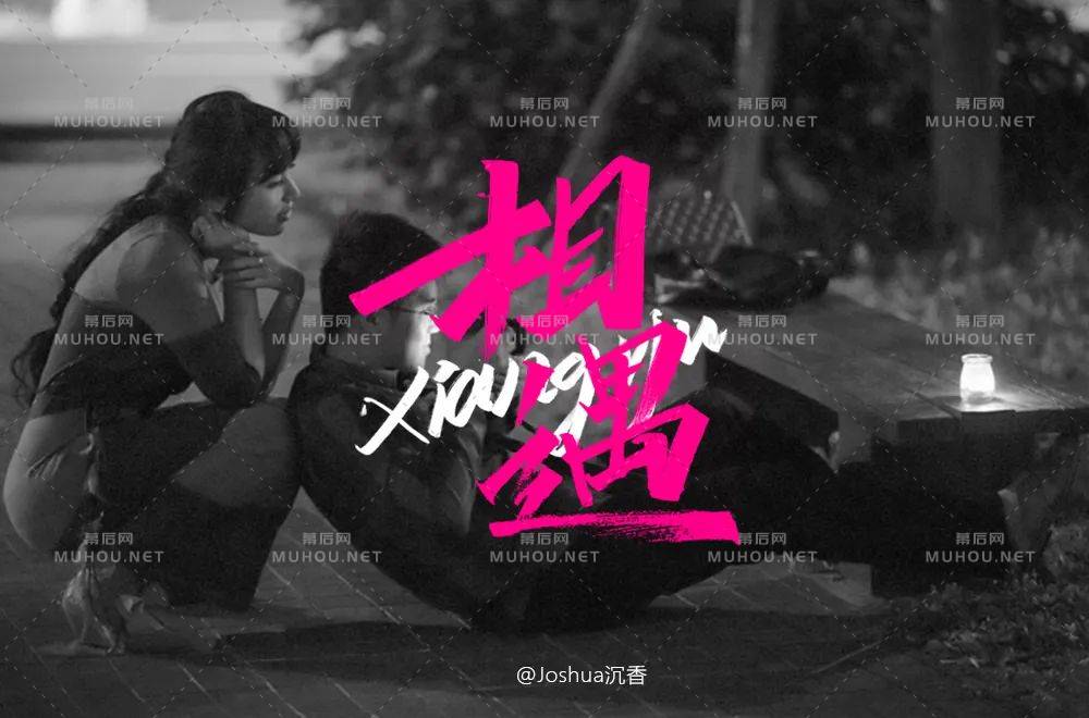 最美的遇见！100款相遇艺术文字设计作品