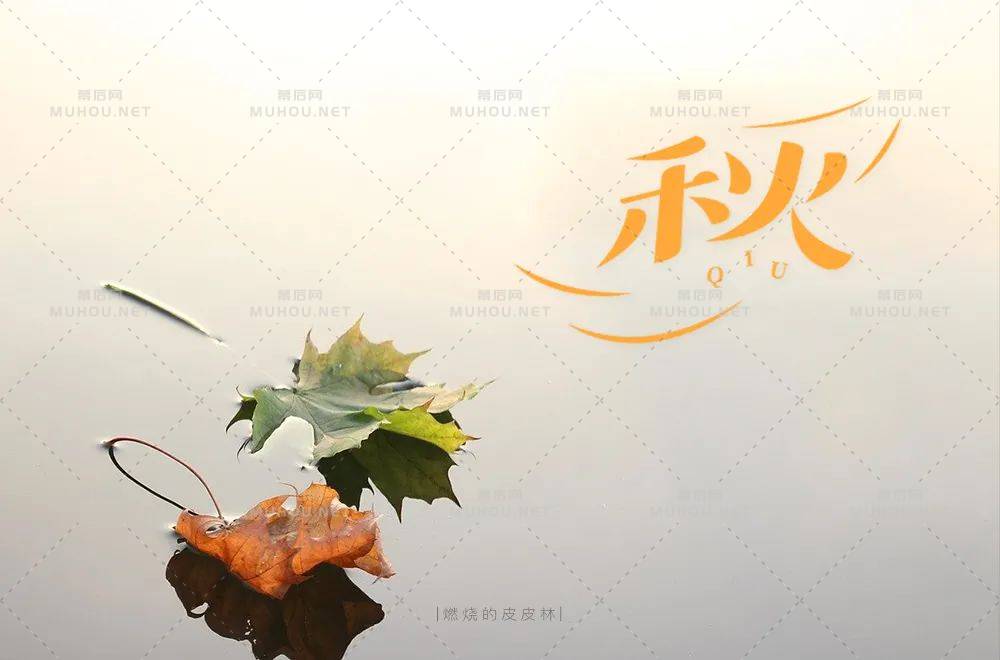 一叶知秋！50款秋艺术文字设计作品