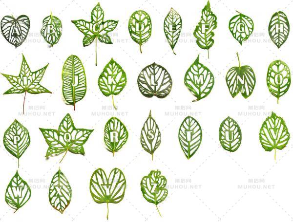 55个英文字母创意艺术文字设计作品欣赏