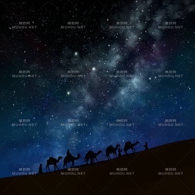 优美的星空银河风景插画