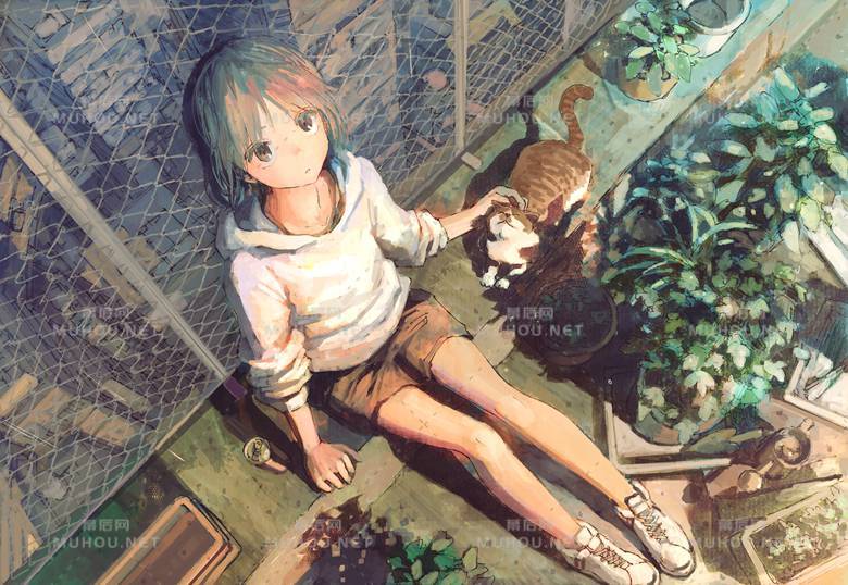 温柔的女孩与猫咪在一起的插画