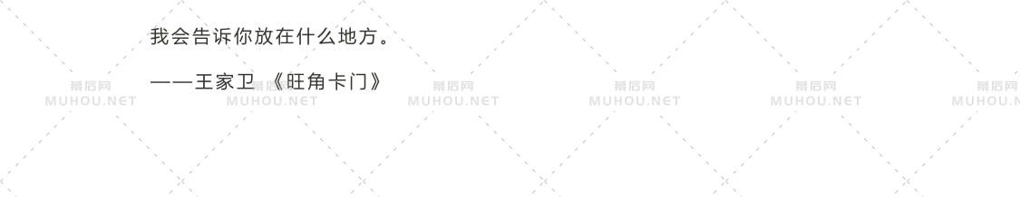 31款王家卫电影复古调色港风LR预设PR/PS/FCPX/达芬奇/AE/LUT滤镜素材 人像Lr预设 第28张