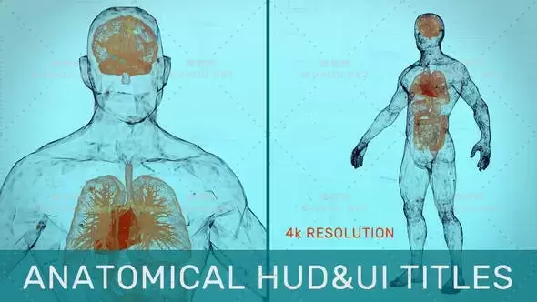 三维人体解剖生物医疗文字标题介绍动画AE视频模板素材 Anatomical HUD&UI Titles插图