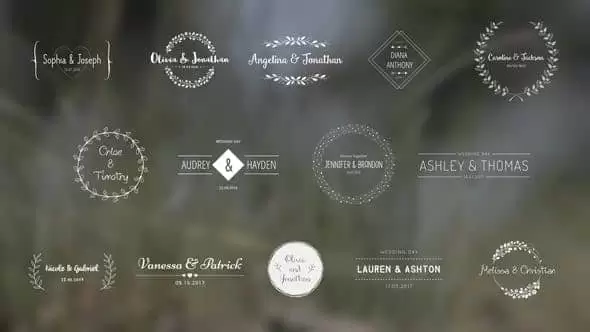 典雅复古时尚可爱浪漫爱情婚礼婚庆标题动画AE视频模板素材