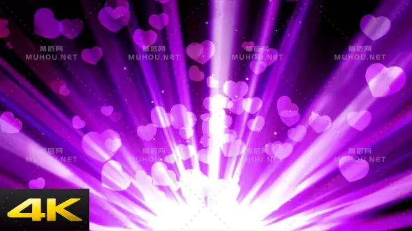 紫色爱情射线爱心放射视频素材下载插图