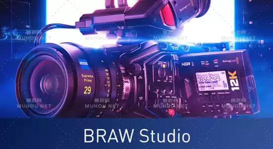 BRAW Studio v2.4.1 AE插件（.braw格式素材导入）Win 破解版下载+视频教程插图