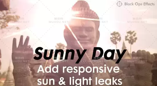 SunnyDay v1.0 AE插件（太阳耀斑漏光特效）Win 破解版下载+视频教程插图