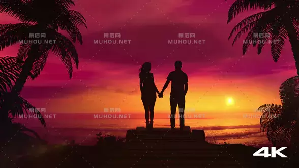 浪漫情侣在海洋中观看红色夕阳视频素材下载插图