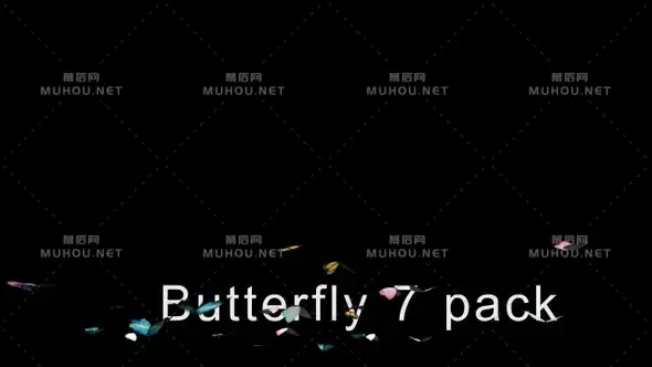 蝴蝶飞舞动画卡通元素KButterfly 7 Pack 4 K视频素材下载插图