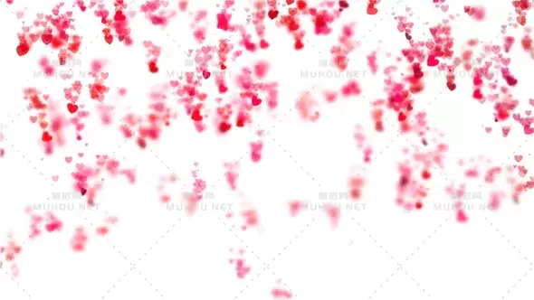 情人节背景粉红色花瓣背景Valentines Backgrounds Pack视频素材插图