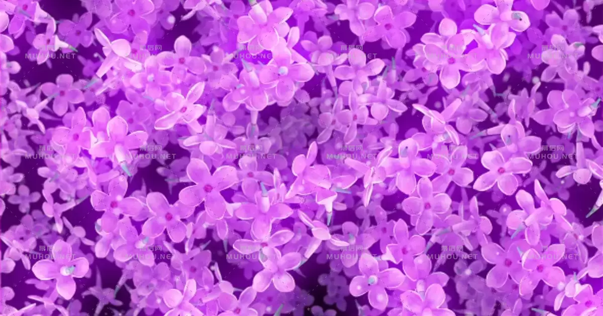 花朵淡紫色下降背景Flowers Lilac Falling Background视频素材