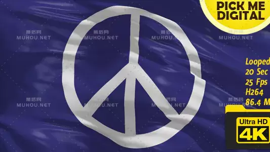 和平抗议旗帜4KPeace Protest Flag 4K视频素材下载插图