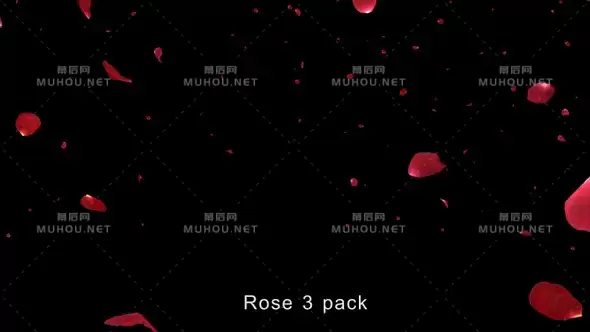 玫瑰4K花瓣飘落带Alpha视频素材下载插图
