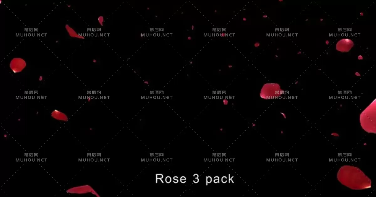 玫瑰4K花瓣飘落带Alpha视频素材下载