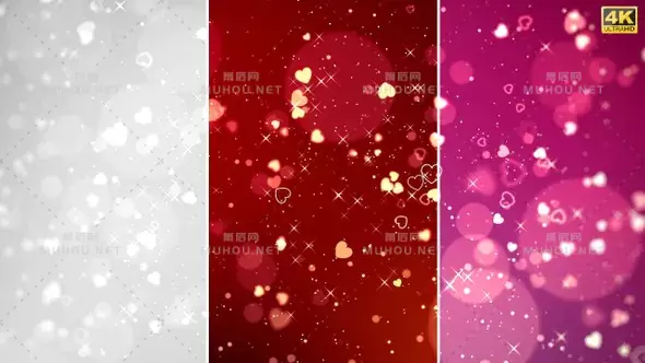 情人节粉末颗粒背景Valentine Backgrounds视频素材下载插图