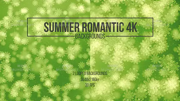 夏季浪漫绿色背景Summer Romantic Green Backgrounds视频素材下载插图