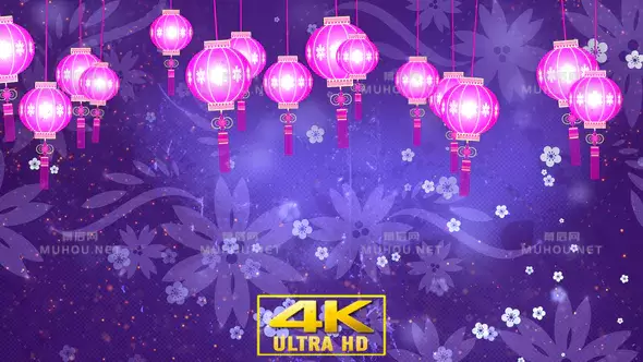 唯美紫色中国灯笼灯Chinese Lantern Lights V2视频素材下载插图